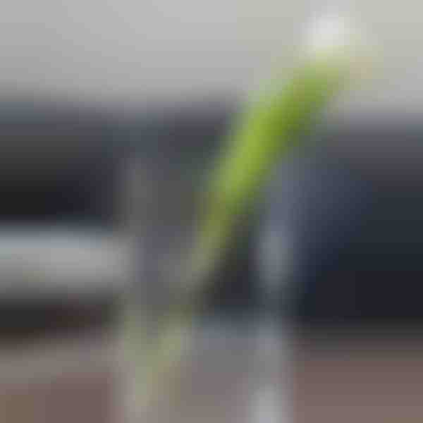 Elegáns könyv alakú váza virágoknak | FLOWERFRAME