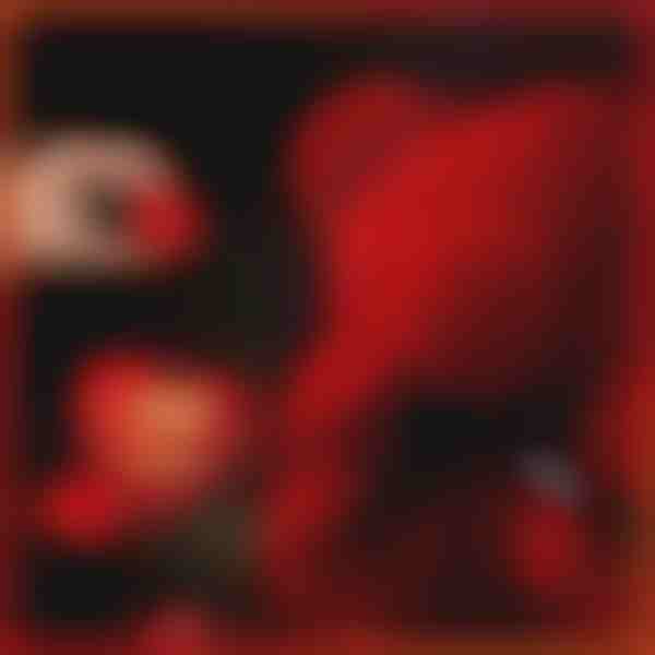 Ajándék, ami beszél a szeretetről | LOVEBEAR